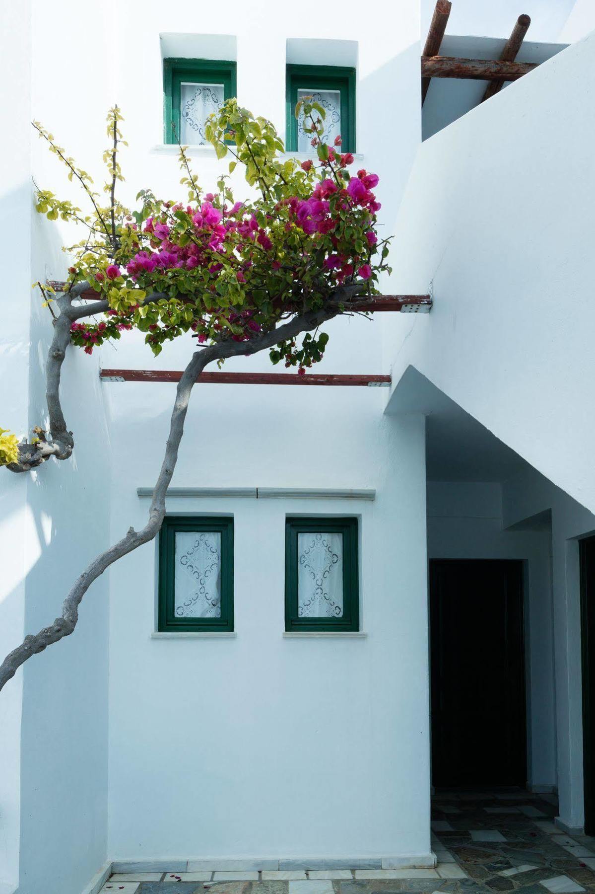 Mr & Mrs White Tinos Hotel Kültér fotó
